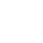 Bridgestonve-tV3